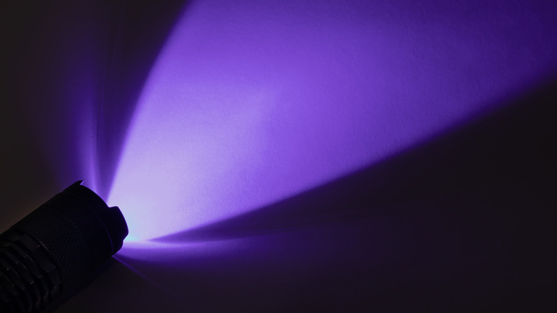 Light from a UV black light flashlight shining on a nearby surface.