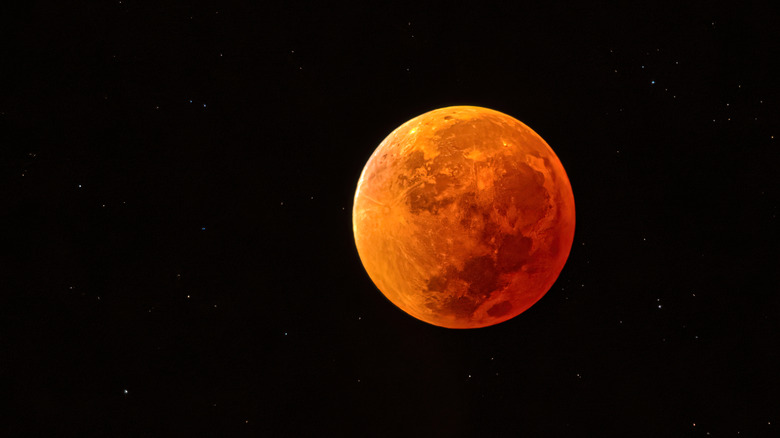 A blood moon in the sky