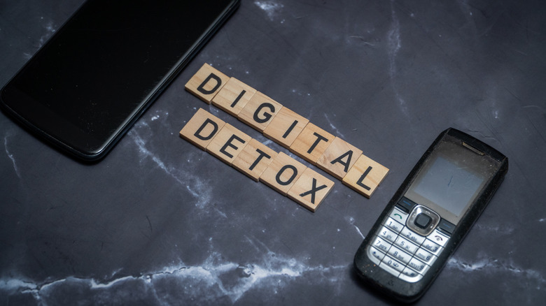 A modern smartphone and an old dumbphone with the words Digital Detox in wooden letters between them.