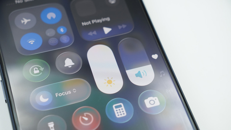 The volume level seen in the iPhone's Control Center