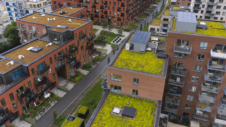 building with green roofing