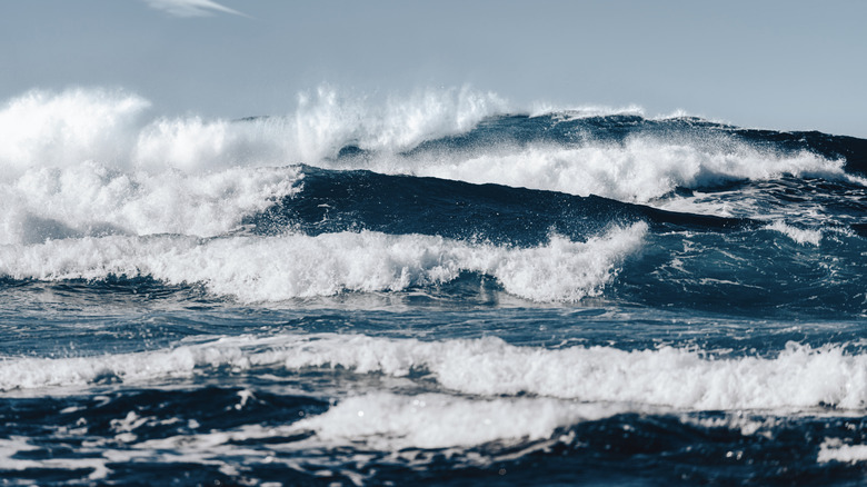 Waves in a turbulent sea