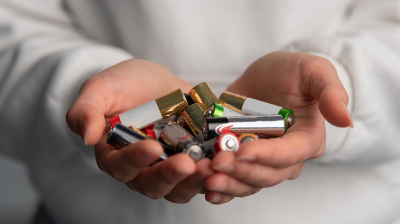 A hand holding a bunch of AA batteries.