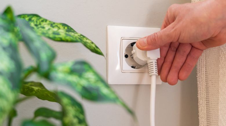 electrical outlet plug in a wall, a plant seen in front of the wall