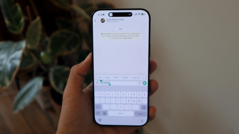 WhatsApp chat on iPhone 16 Pro Max