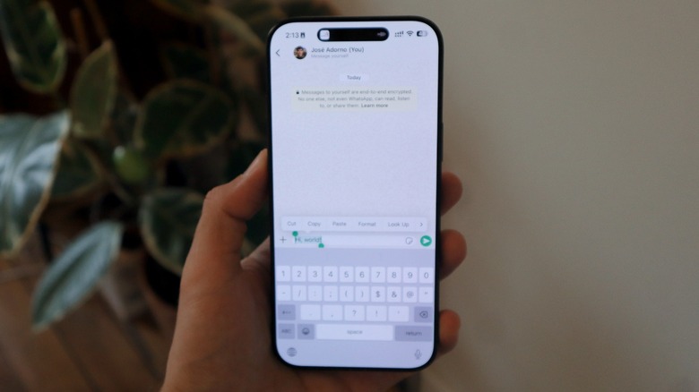 WhatsApp chat on iPhone 16 Pro Max