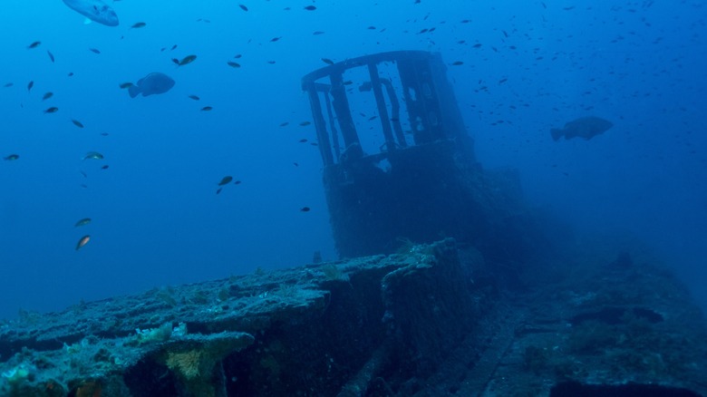 Remains of a wrecked submarine, surrounded by aquatic life.