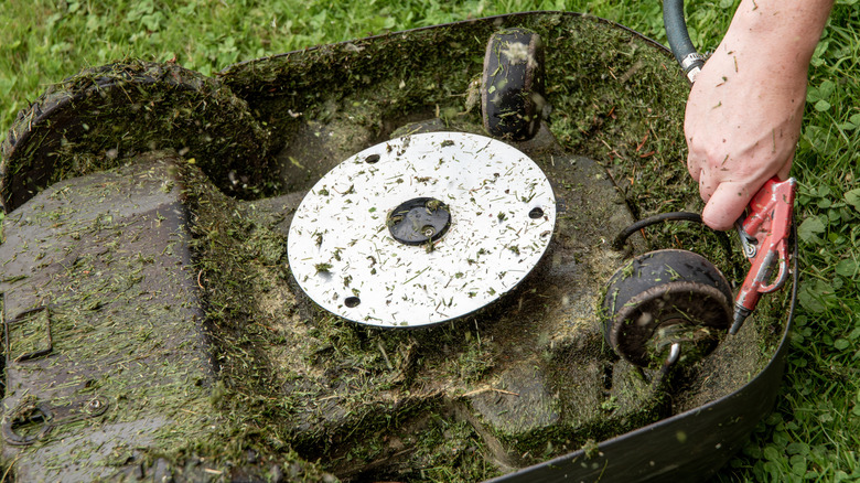 Person cleaning cut grass off a robot lawn mower