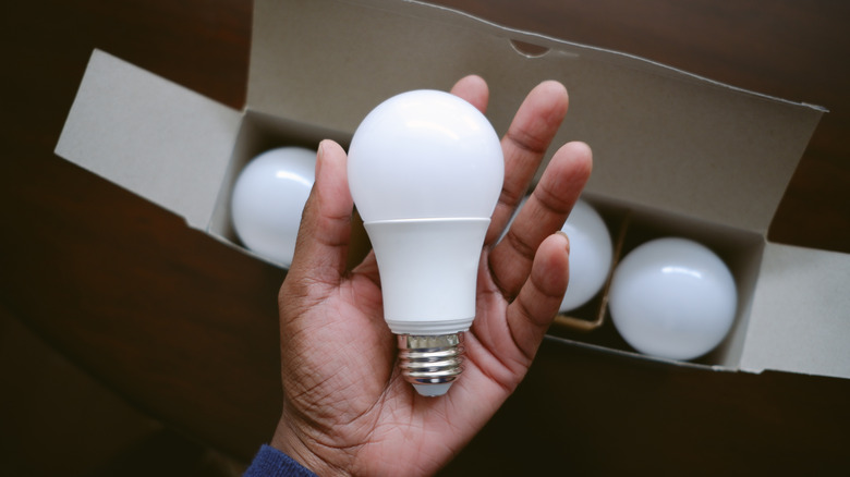 woman holding lightbulb above box