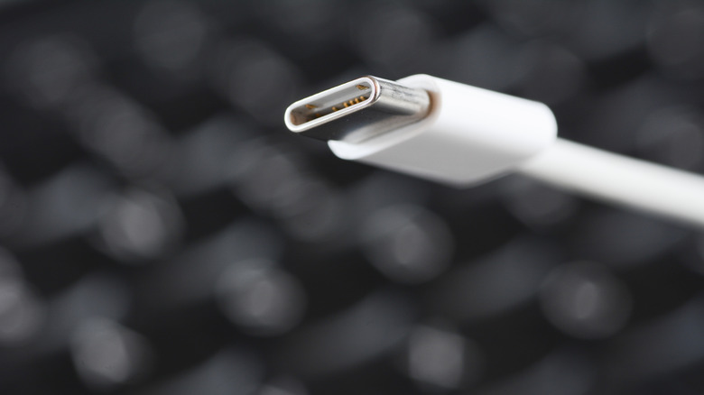 A close-up photograph of a USB-C cable connector.