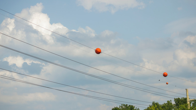 Multiple orange balls mounted on wires.