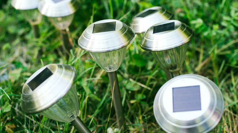 Outdoor solar garden lights propped up in the grass.