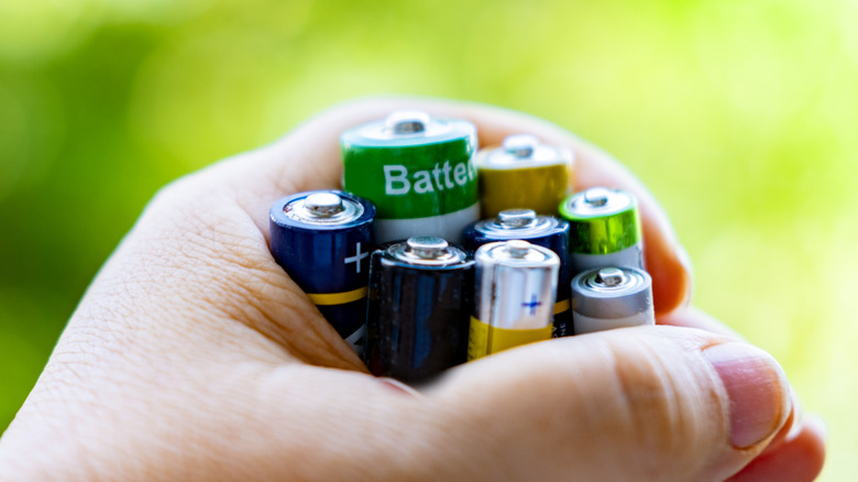 A person holding batteries of various sizes, including AA and AAA batteries