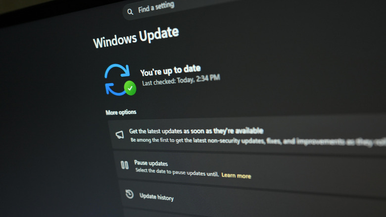 Windows Update menu with package check finished.