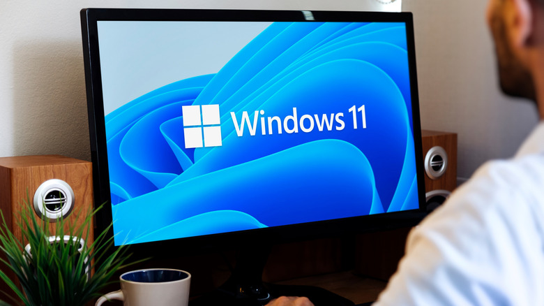 Windows 11 startup display shown on computer monitor.