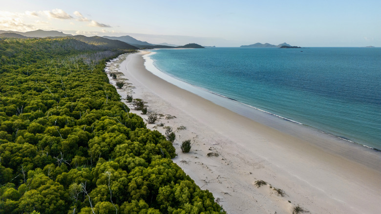 A stretch of island coastline.