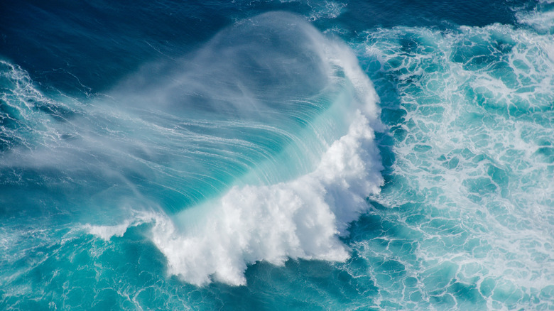 A large, crashing ocean wave.