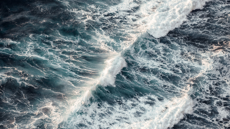 An aerial view of ocean waves.