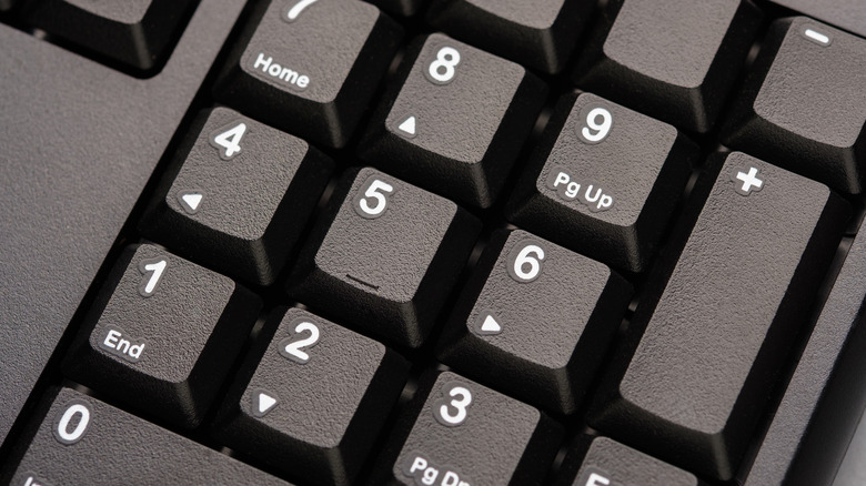 A keyboard numeral keypad, showing the '5' key with a raised line on it