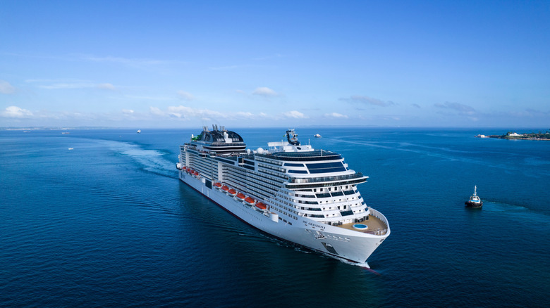 A cruise ship sailing on open seas.