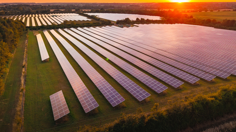 An open field covered in solar panels with a sunset in the background