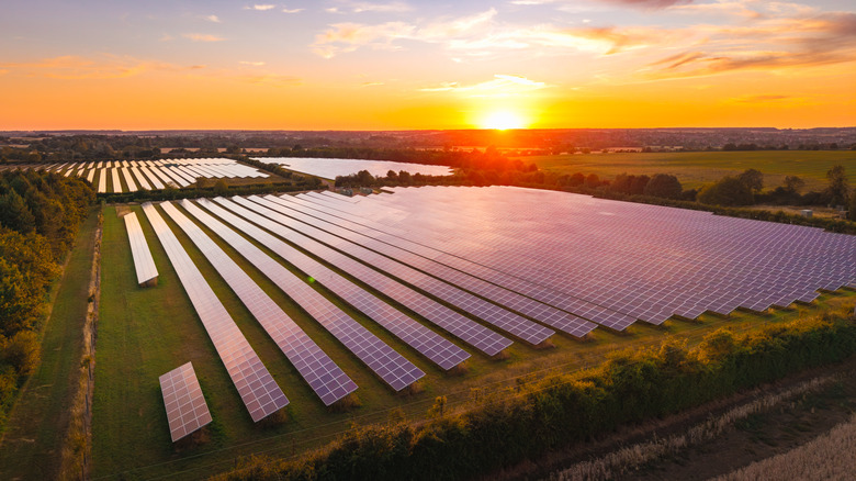 Solar panel farm at sunset with open fields visible.