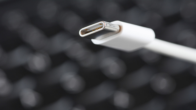 Close up of a USB Type-C cable connector with a blurred background.