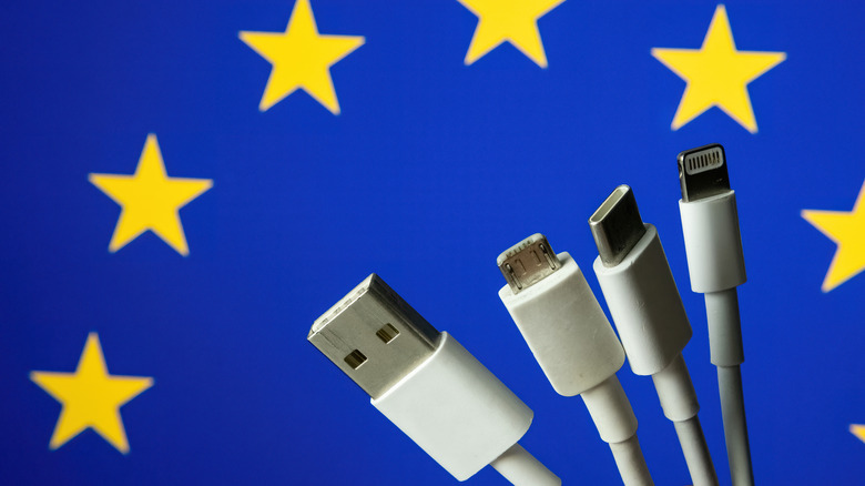 The connectors of a USB-C, Lightning connector, USB micro and USB-A cables in front of the European Union flag