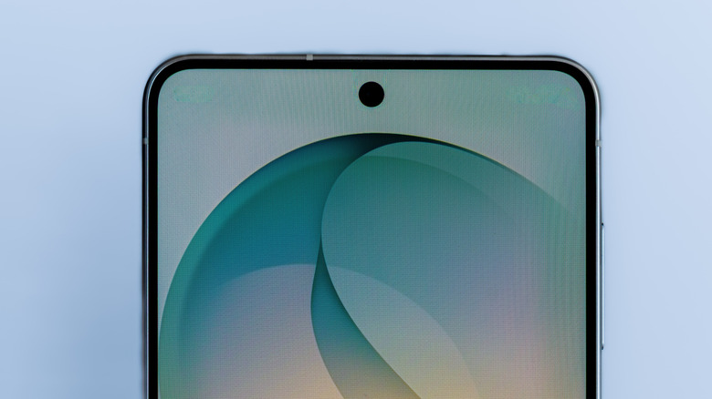 A close-up of the Galaxy S24 display's top side.