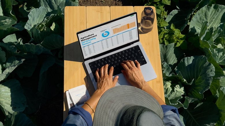 Farmer working on a MacBook Pro on a wooden table in a field