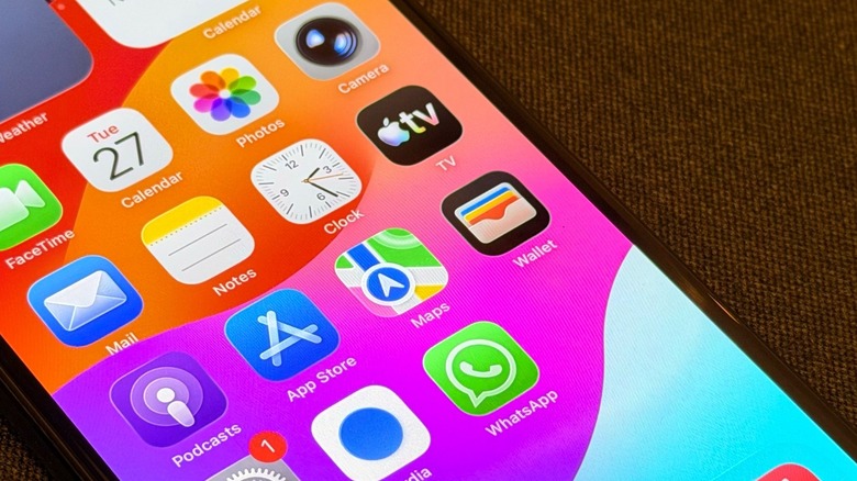 iPhone 11 Pro Max's Home Screen with the Wallet app