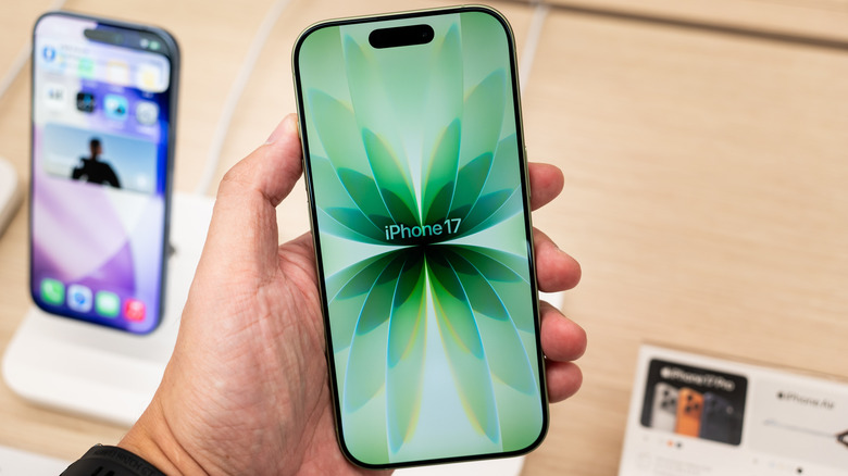 A hand holding a standard iPhone 17.