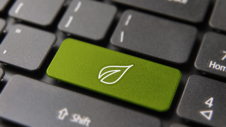 Green eco-themed keyboard key with a leaf symbol.
