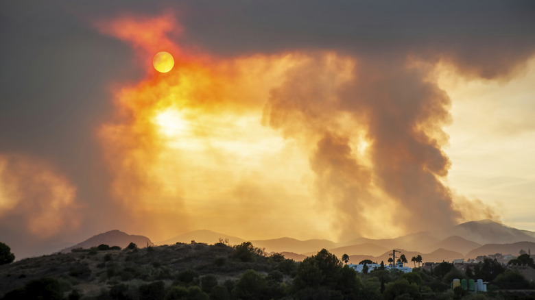 Sunlight is obscured by smoke from fires