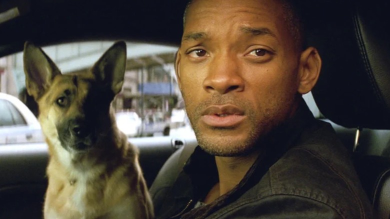 Robert Neville (Will Smith) in his car with his dog in I Am Legend looking out the drivers window