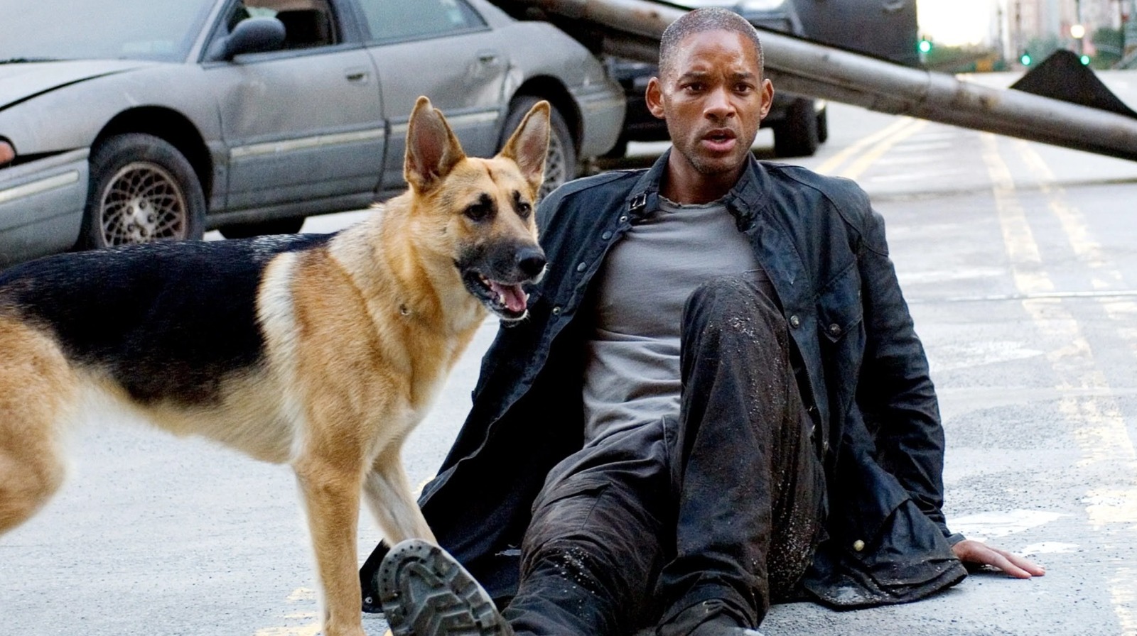 Will Smith And Charlton Heston Starred In Two Different Adaptations Of The Same Post-Apocalyptic Novel – BGR