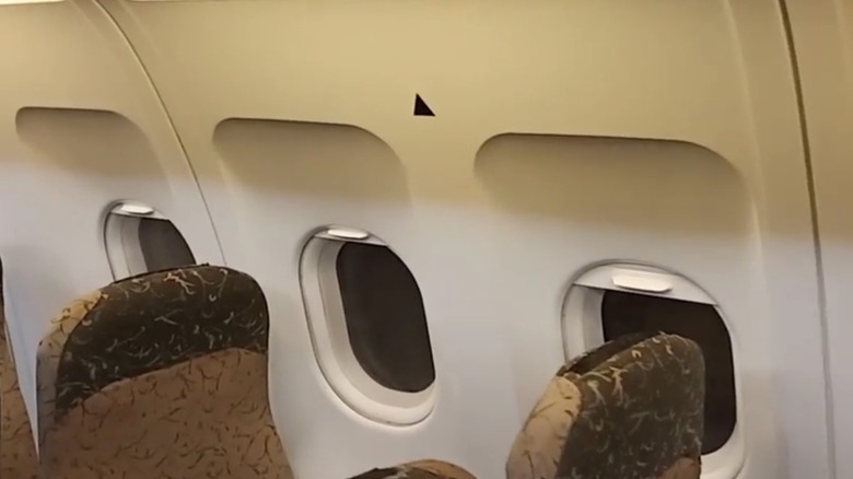A black triangle above above an airplane window.