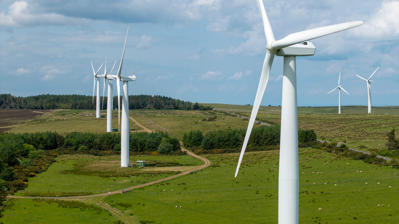 a wind farm in a green countryside