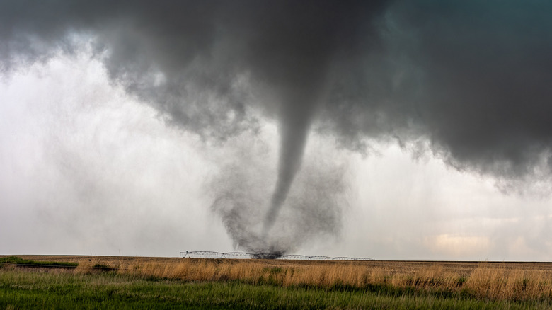 a tornado touching down on farmland