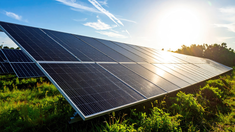 solar panel array lit by sunlight