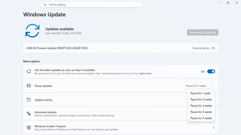 Pausing Windows Update in Windows 11.