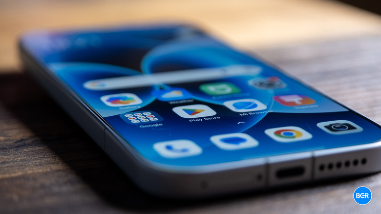 Display on the Xiaomi 17