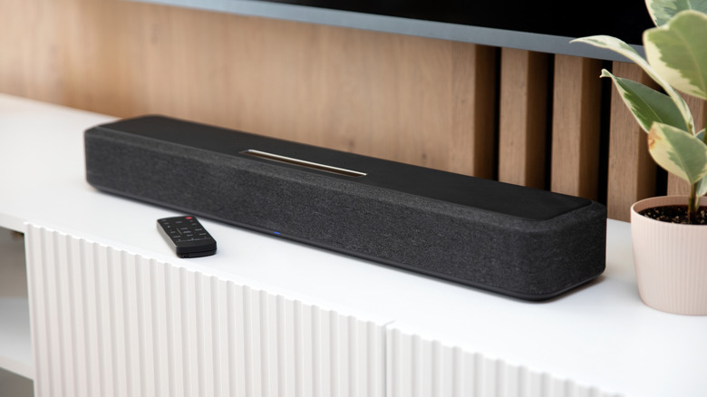 A soundbar on a shelf, next to a plant.