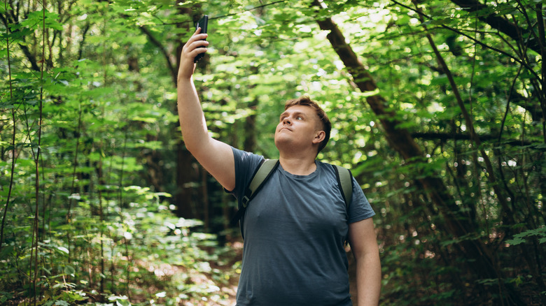 Man holding up phone in remote forest location.
