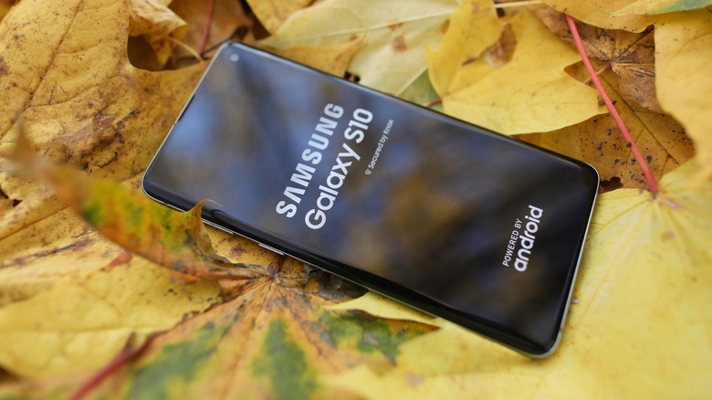 An old Galaxy S10 model.