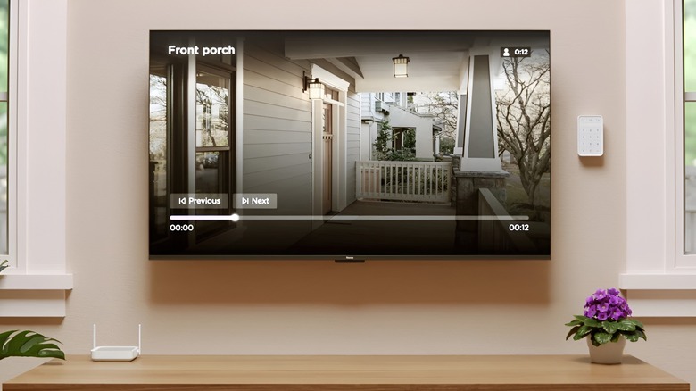 Live footage captured by a Roku camera and displayed on a TV screen.