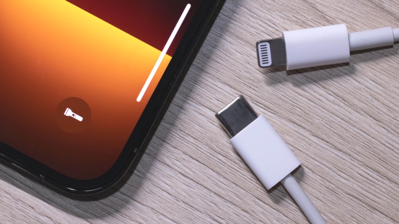 The bottom half of an iPhone 13 Pro Max with a Lightning and USB cable underneath it.
