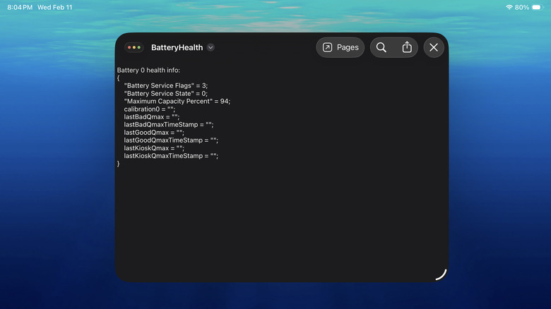 iPad Air showing Battery Health file from sysdiagnose