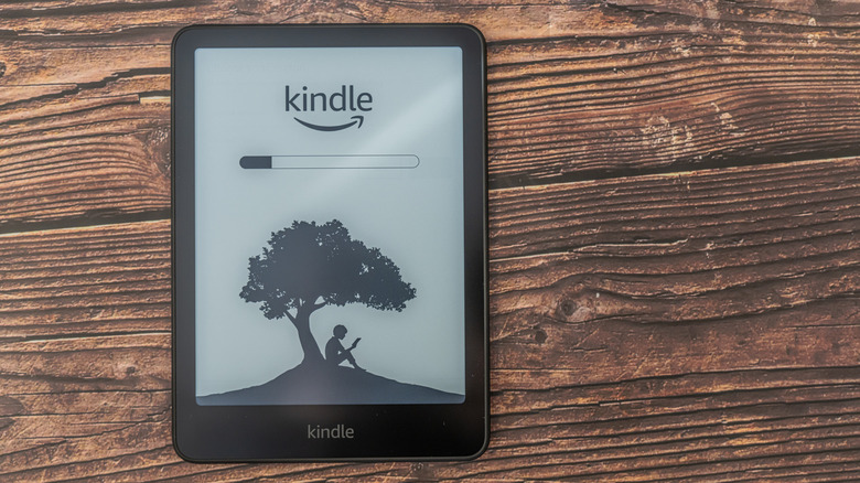 Amazon Kindle Paperwhite ereader
