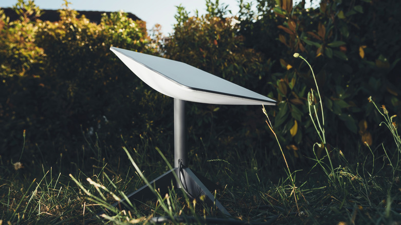 A Starlink antenna in the grass